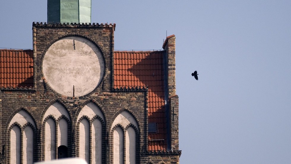 Gatebird, © Andreas Günther, Geschichtswerkstatt Rostock