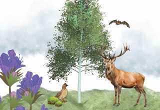 &copy; M&uuml;ritzeum