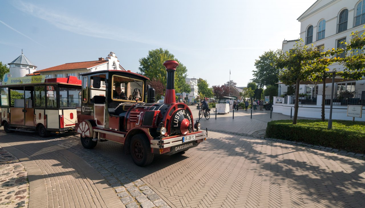 Wycieczki przygodowe Darssbahn, © Moritz Kertzscher Wycieczki przygodowe Darssbahn, © Moritz Kertzscher