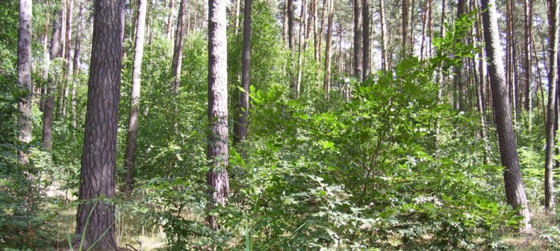 © Sabine Görmar © Sabine Görmar