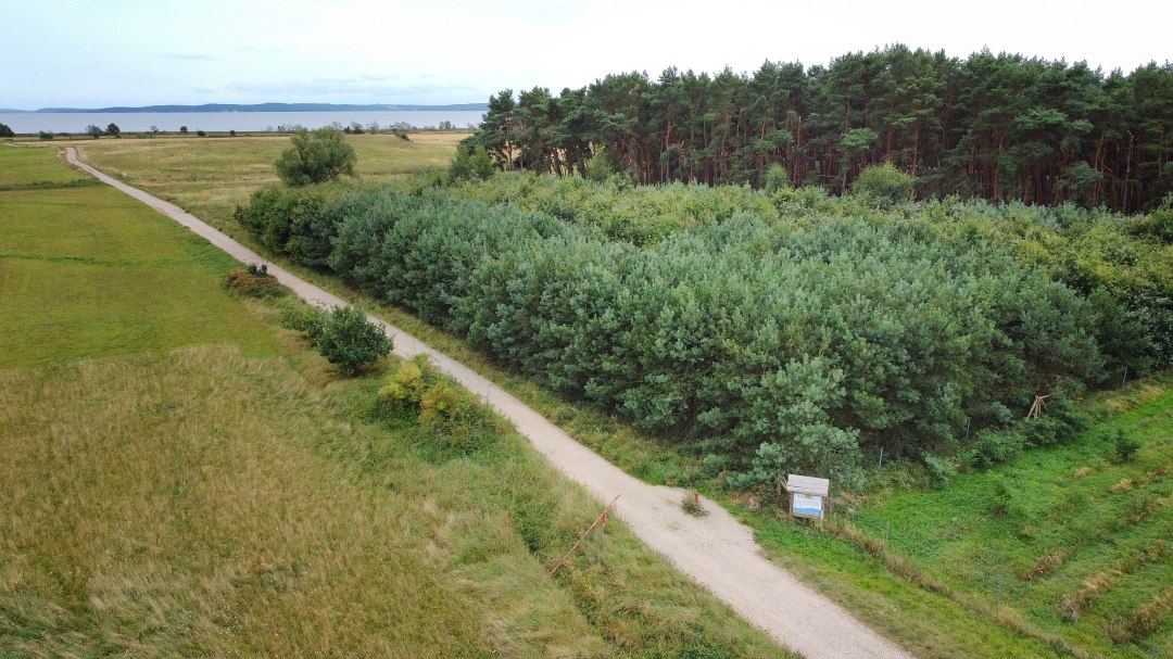 Klimatyczny las Glowe widok z lotu ptaka, © Landesforst MV