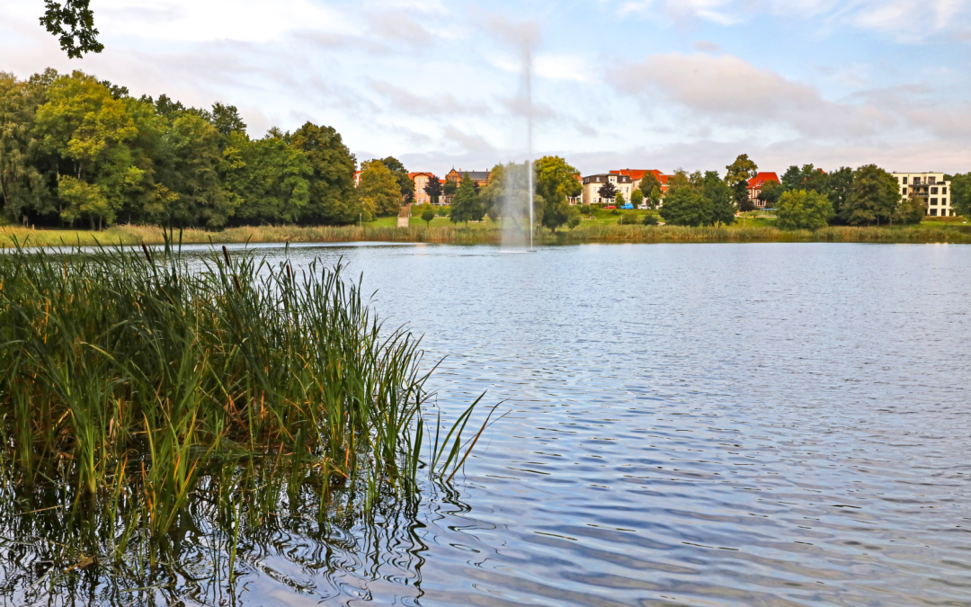 2025-01-27 10_47_44-Glambecker See_2.png - IrfanView (Zoom_ 1569 x 1046), © TMV/ Gohlke