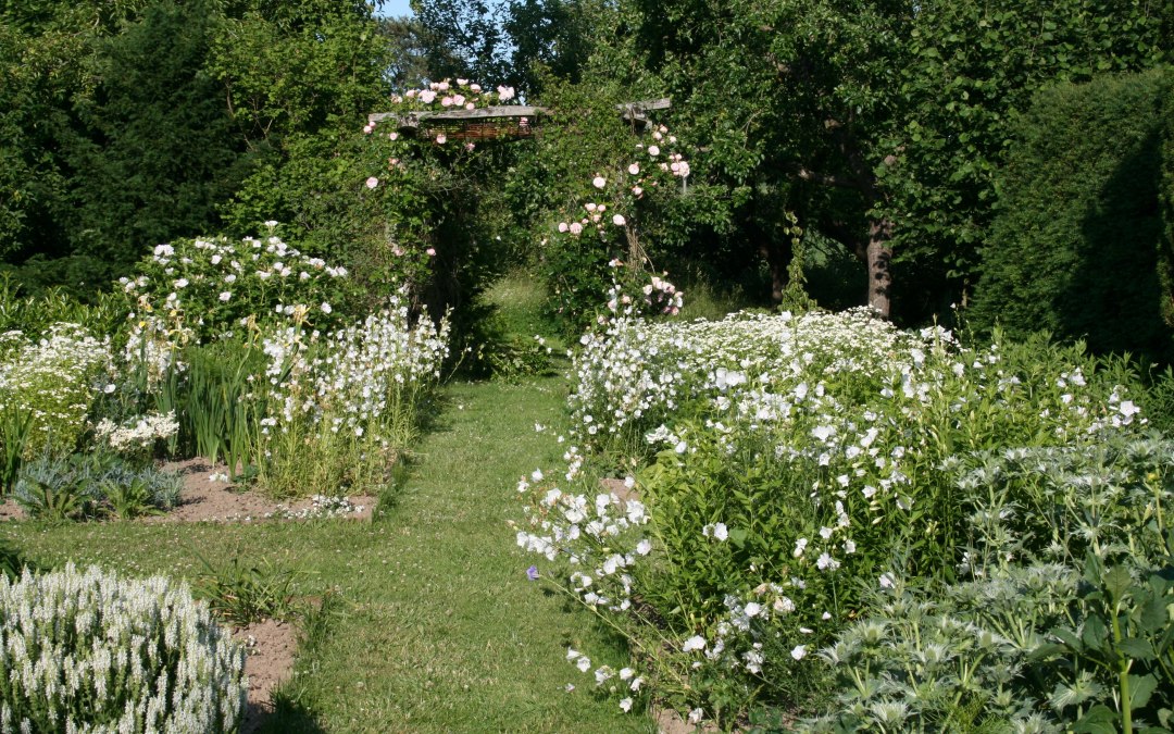 De witte tuin ontvouwt zijn pracht in de schemering. Hier zie je witbloeiende zomerbloemen, vaste planten en heesters., © Dirk Endrulat