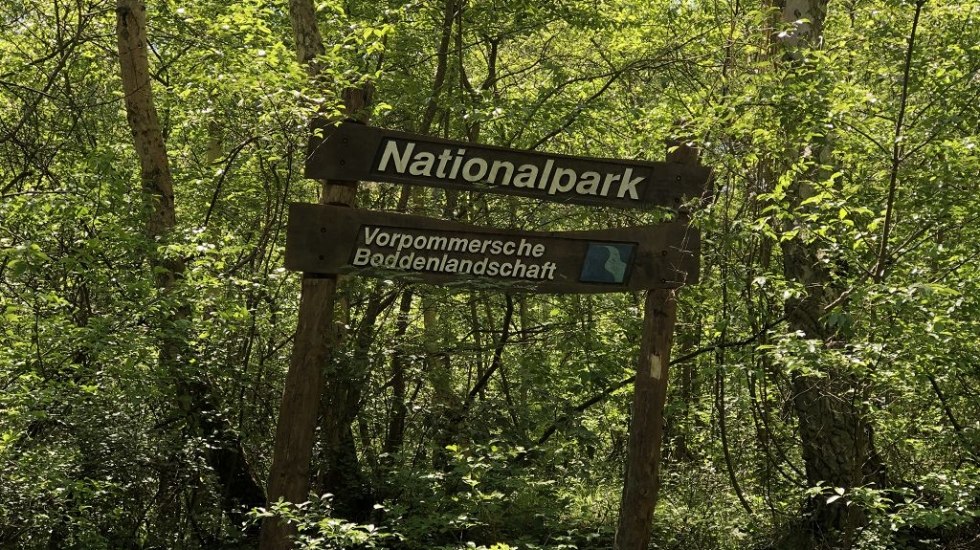 Nationaal Park Vorpommersche Boddenlandschaft // © Volker Barthmann Nationaal Park Vorpommersche Boddenlandschaft // © Volker Barthmann