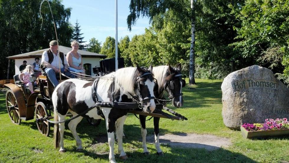 Początek przejażdżki bryczką // © Hof Thomsen Początek przejażdżki bryczką // © Hof Thomsen