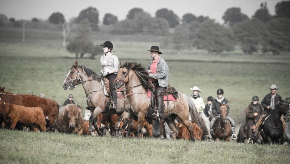 Be like the cowboys in the Wild West - at FerienGut Dalwitz. // © FerienGut Dalwitz Be like the cowboys in the Wild West - at FerienGut Dalwitz. // © FerienGut Dalwitz