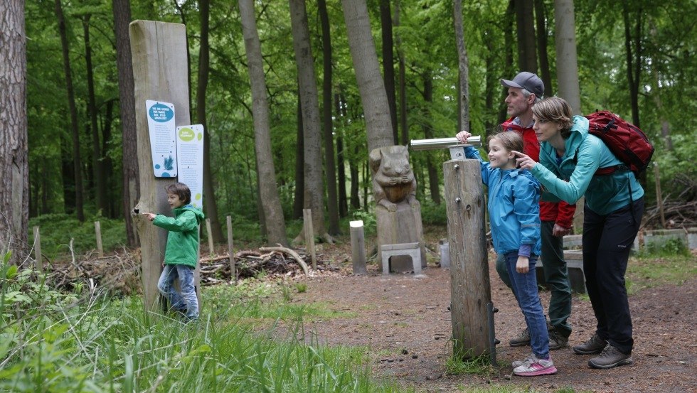 Lasy w Graal-Müritz i okolicach można odkrywać w Nadmorskim Leśnym Świecie Przygód. // © MV-T/outdoor-visions.com Lasy w Graal-Müritz i okolicach można odkrywać w Nadmorskim Leśnym Świecie Przygód. // © MV-T/outdoor-visions.com
