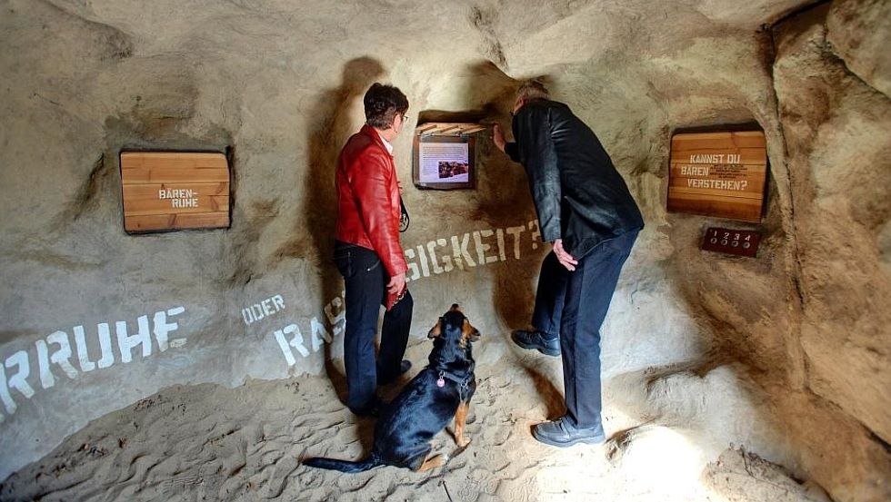 Het expositiestation "Berengrot" neemt de winterslaap van beren onder de loep // © BÄRENWALD Müritz/Sabine Vielmo Het expositiestation "Berengrot" neemt de winterslaap van beren onder de loep // © BÄRENWALD Müritz/Sabine Vielmo