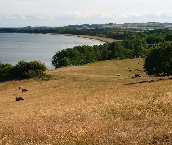 die weitl&auml;ufigen, kr&auml;uterreichen S&uuml;dh&auml;nge // &copy; R.F. Leipzig
