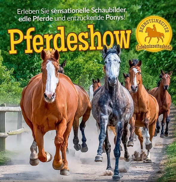 pferdeshow-vorn_cover_afbeelding, © Bernsteinreiter