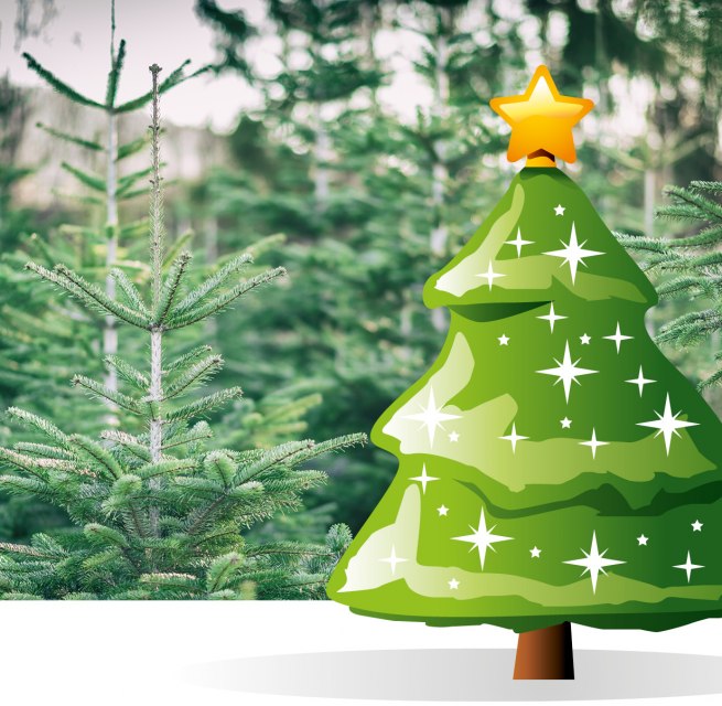 © Stadtmarketing Ribnitz-Damgarten © Stadtmarketing Ribnitz-Damgarten