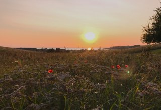 &copy; KV M&ouml;nchgut