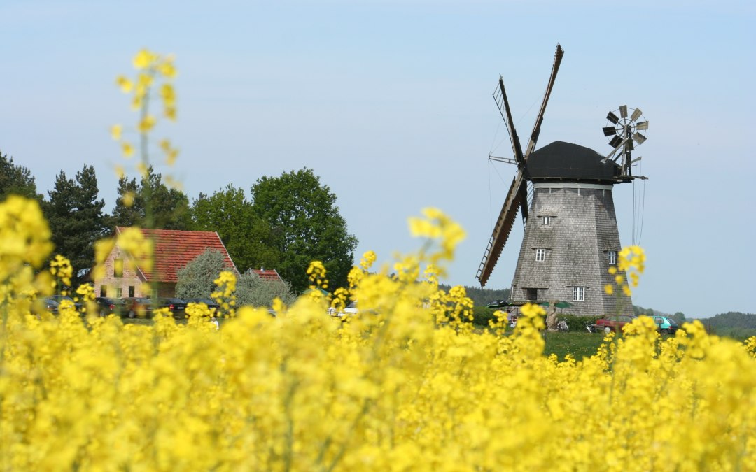 Mühle_Benz_Feld, © Kulturmühle Benz e.V.