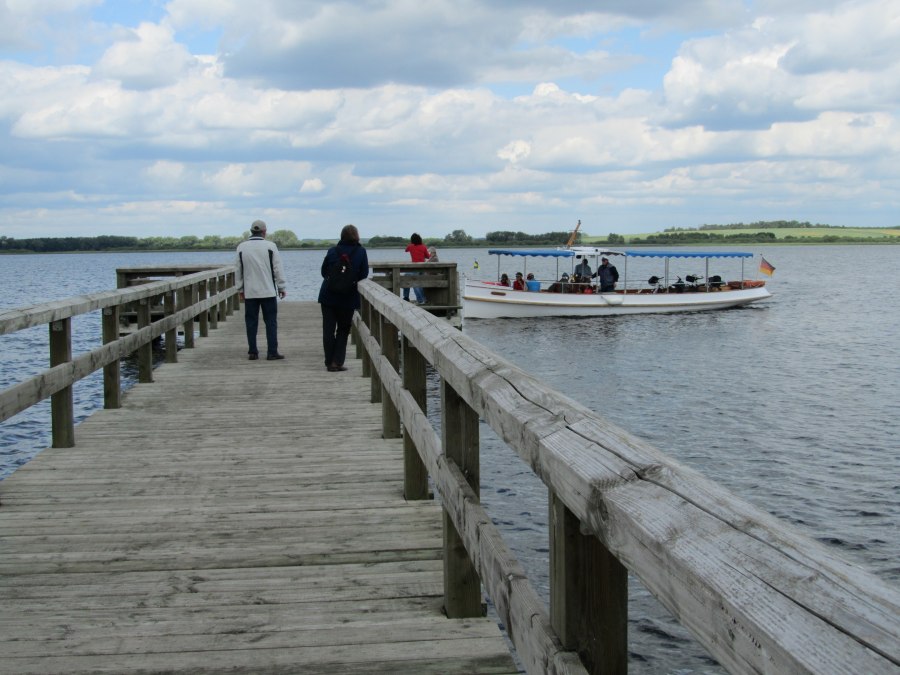 IMG_2163, © Jana Koch IMG_2163, © Jana Koch