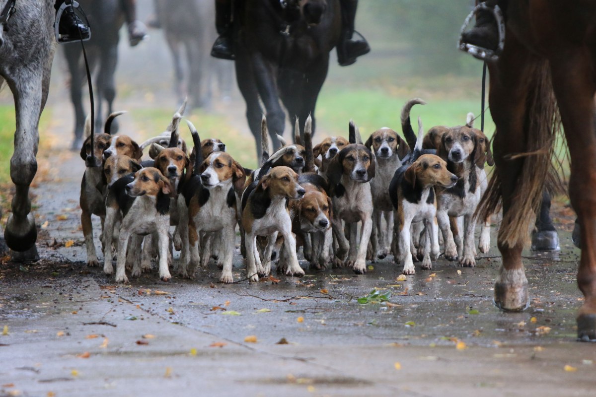 © Sven Strauß © Sven Strauß