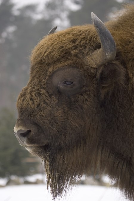 _Z6D4821, © Weichbrodt _Z6D4821, © Weichbrodt