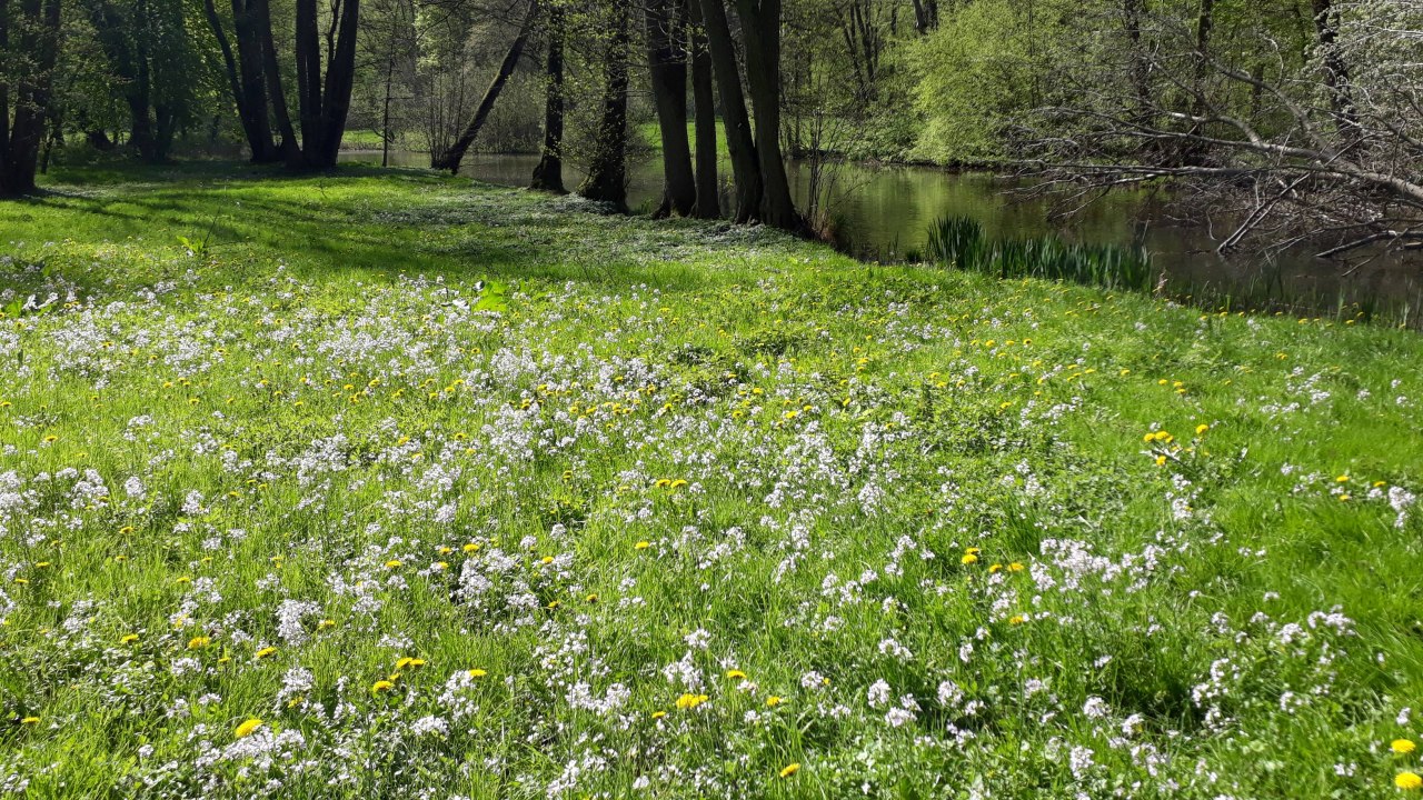 Lente in Semlow Park, &copy; Petra Rackow
