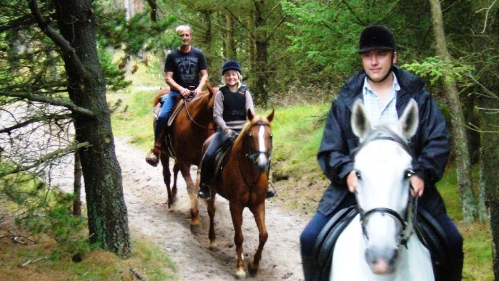 Wokół kompleksu Am Walde można z łatwością jeździć po naturalnym, piaszczystym terenie. // © Thamm Wokół kompleksu Am Walde można z łatwością jeździć po naturalnym, piaszczystym terenie. // © Thamm