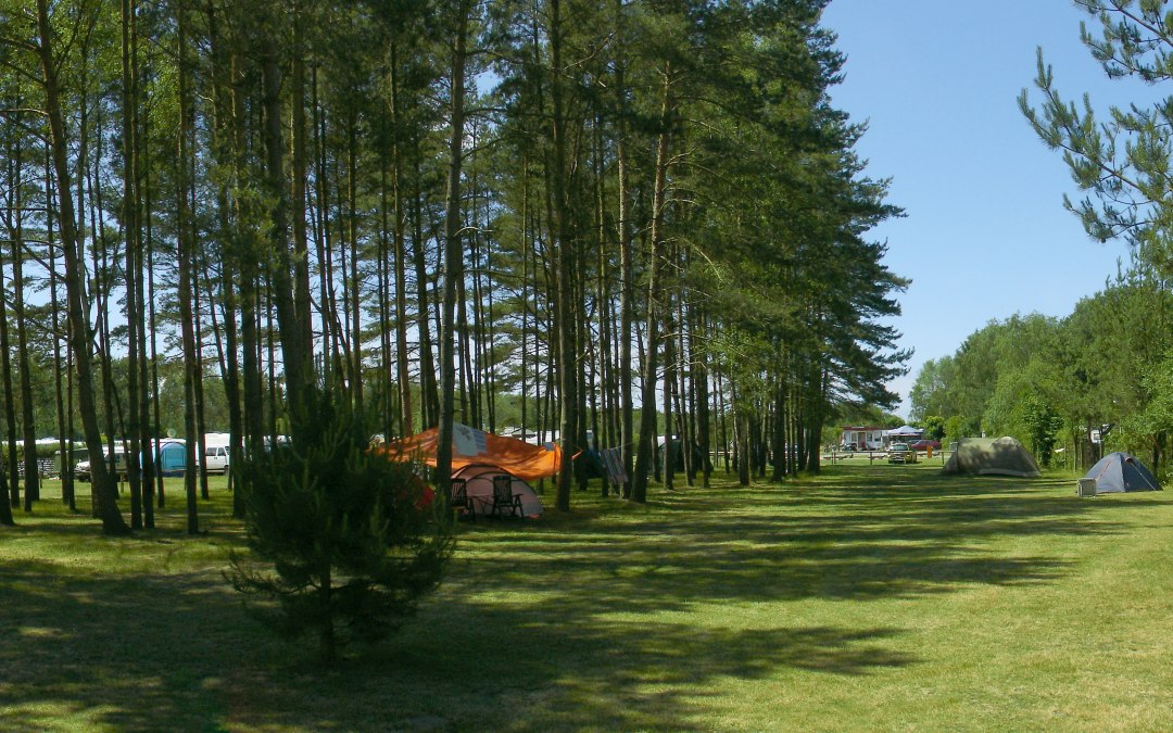 Zicht op het tentengebied, © Camping in Neuhaus