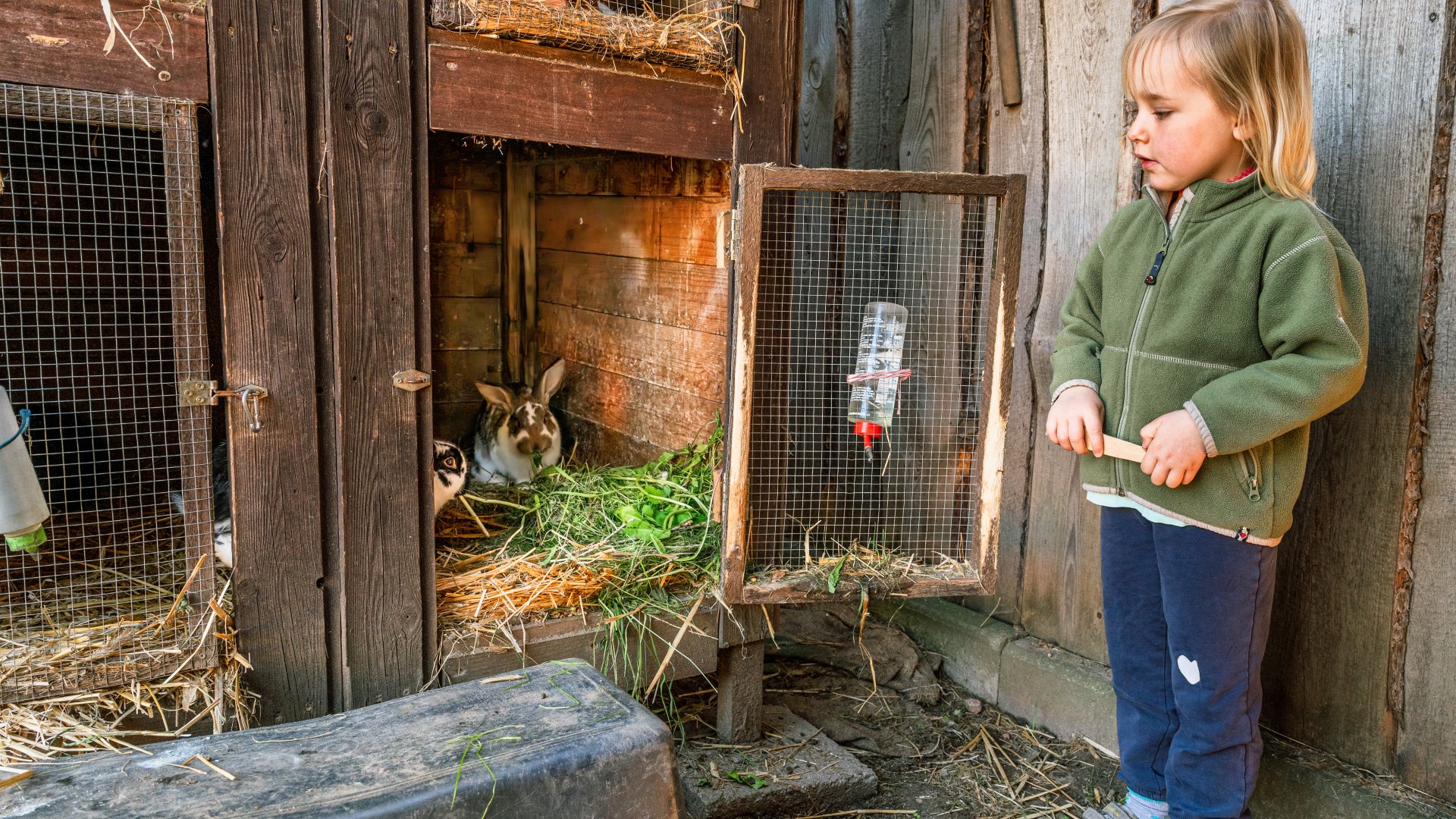 De vierjarige Rosa kondigt het ontbijt aan bij de konijntjes in de stal. Wat staat er op het menu? Twee handenvol vers gras., © TMV/Tiemann Konijnen zitten in een open kooi in het stro en een kind staat naast ze.