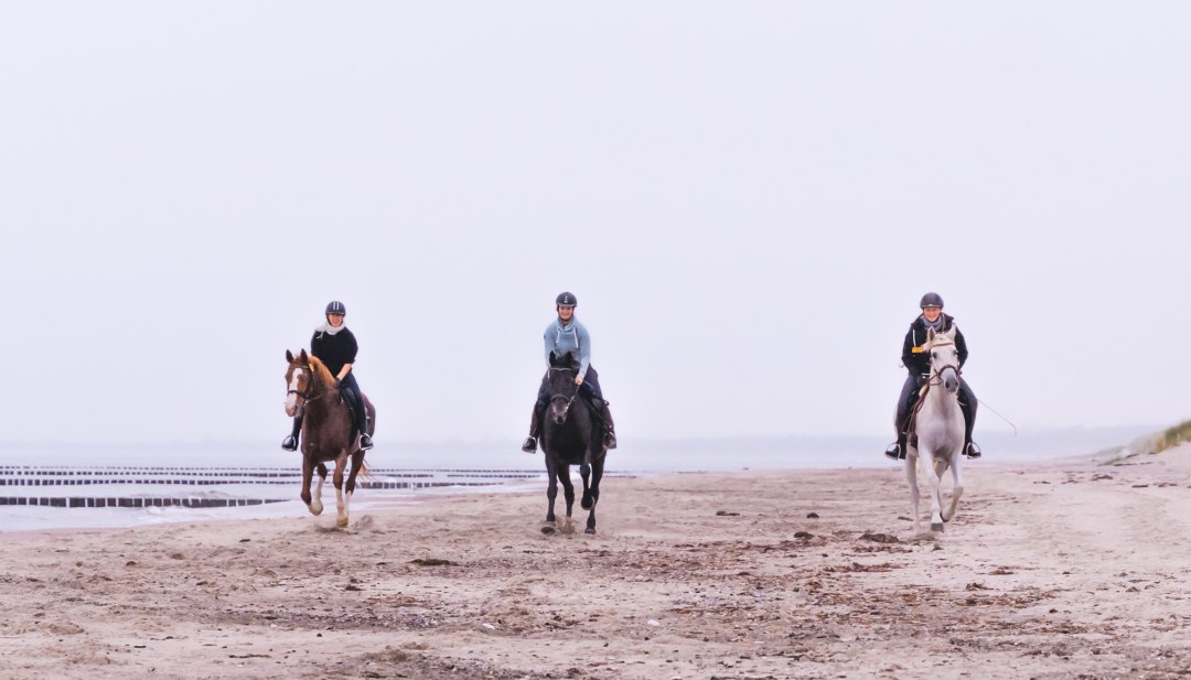 Beach riding in Mecklenburg-Vorpommern on Fischland-Dar&szlig;-Zingst with three horses through the sand
