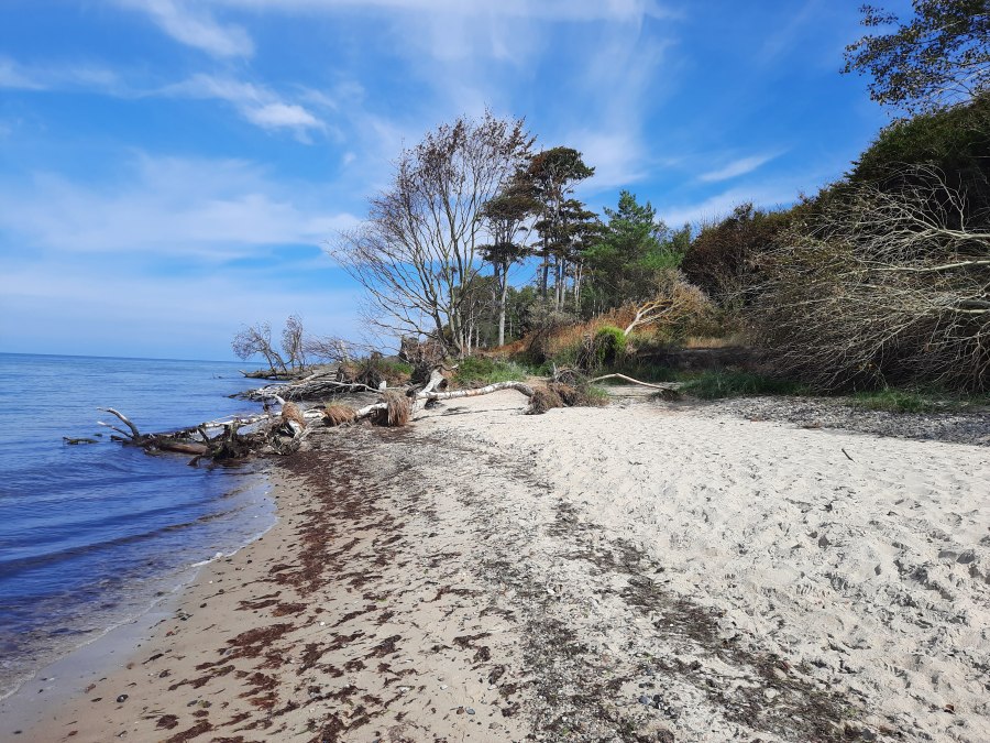 © eigenes Foto © eigenes Foto