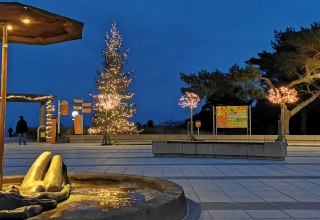 © IMG_20211126_163027.jpg © IMG_20211126_163027.jpg