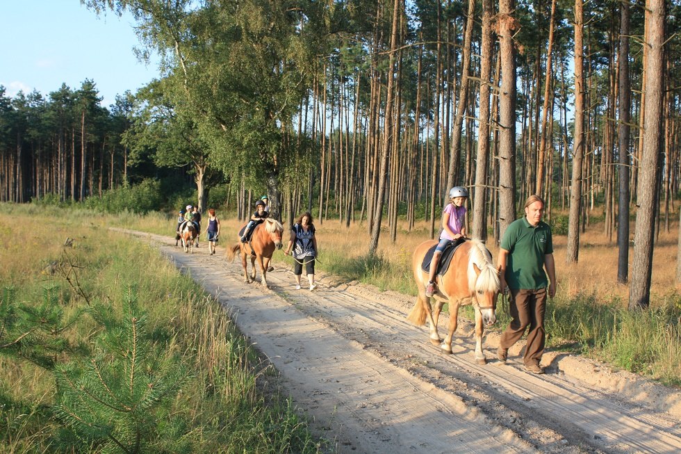 Łatwe lub szybkie przejażdżki po naszych własnych szlakach są atrakcją każdego urlopu. // © Waldhof Bruchmühle Łatwe lub szybkie przejażdżki po naszych własnych szlakach są atrakcją każdego urlopu. // © Waldhof Bruchmühle