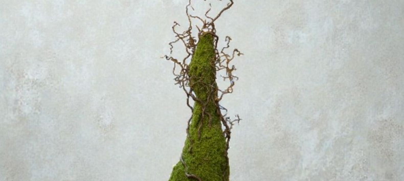 &copy; Andreas Manczyk