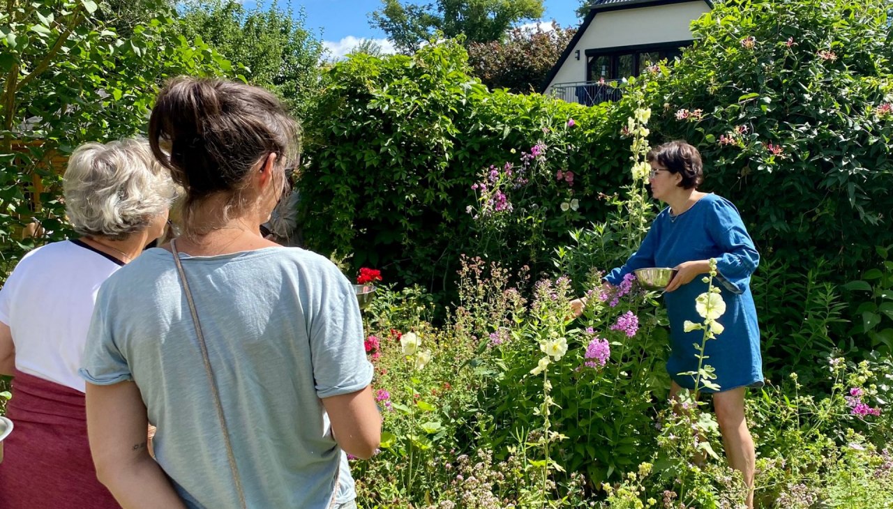 Kr&auml;uterwanderungen@Britta_Daedelow-Seydl, &copy; Britta_Daedelow-Seydl