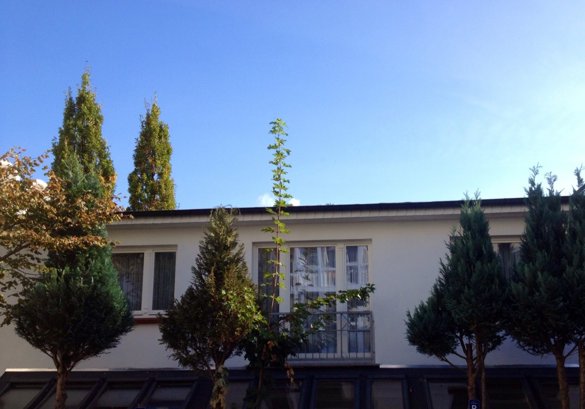 View guest house Astrids Strandmuschel // &copy; Bernhard Franke