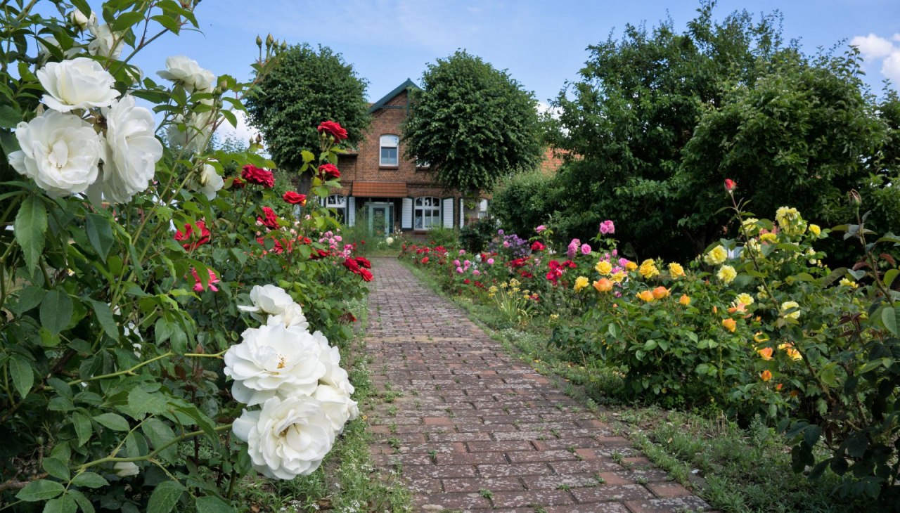 View of our house with rose garden, © O.E.Christoph