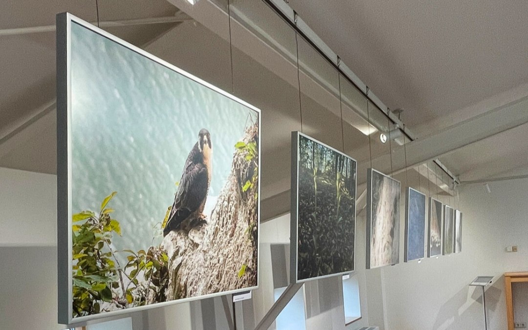 Fototentoonstelling_Jürgen Reich, © Nationalpark-Zentrum KÖNIGSSTUHL