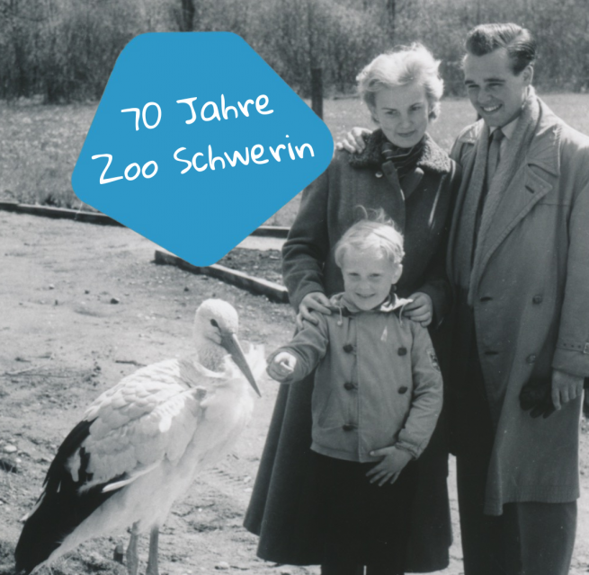 70 years of Schwerin Zoo, © Zoo Schwerin 70 years of Schwerin Zoo, © Zoo Schwerin