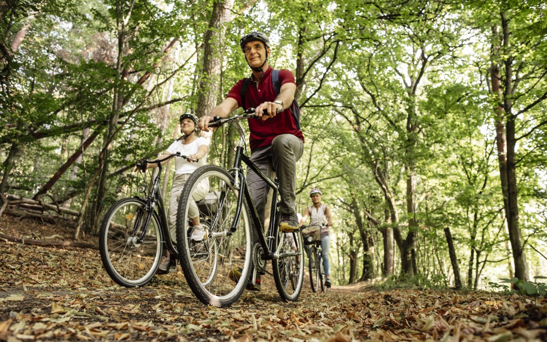 Neustrelitz-Revision-_RZ_0931-Verbessert-RR, &copy; Stadt Neustrelitz / Raiko Zunk