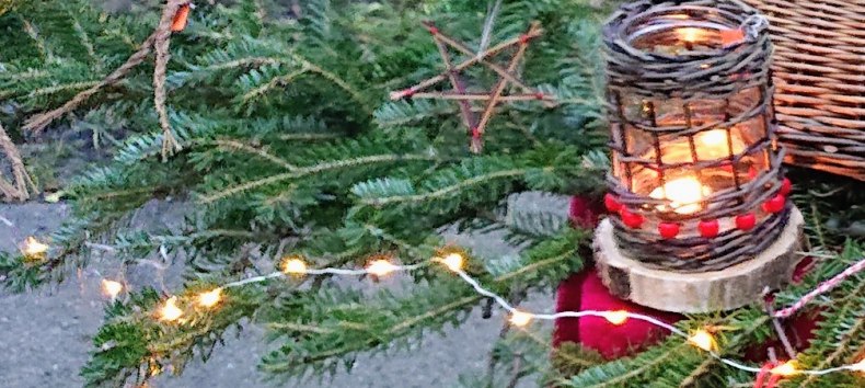 © Bianca Prill © Bianca Prill