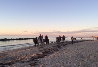 Mit "Bauer Hartmann" von Oktober bis April an die Ostsee reiten // &copy; Bauer Hartmann/ Frauke Beier