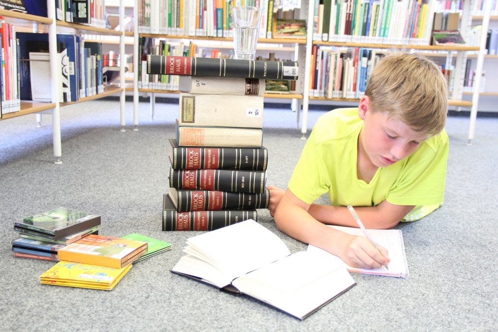 Bibliothek 2, © Julia Gnodtke