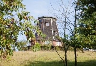 de idyllisch gelegen Neukloster molen, © Frank Burger