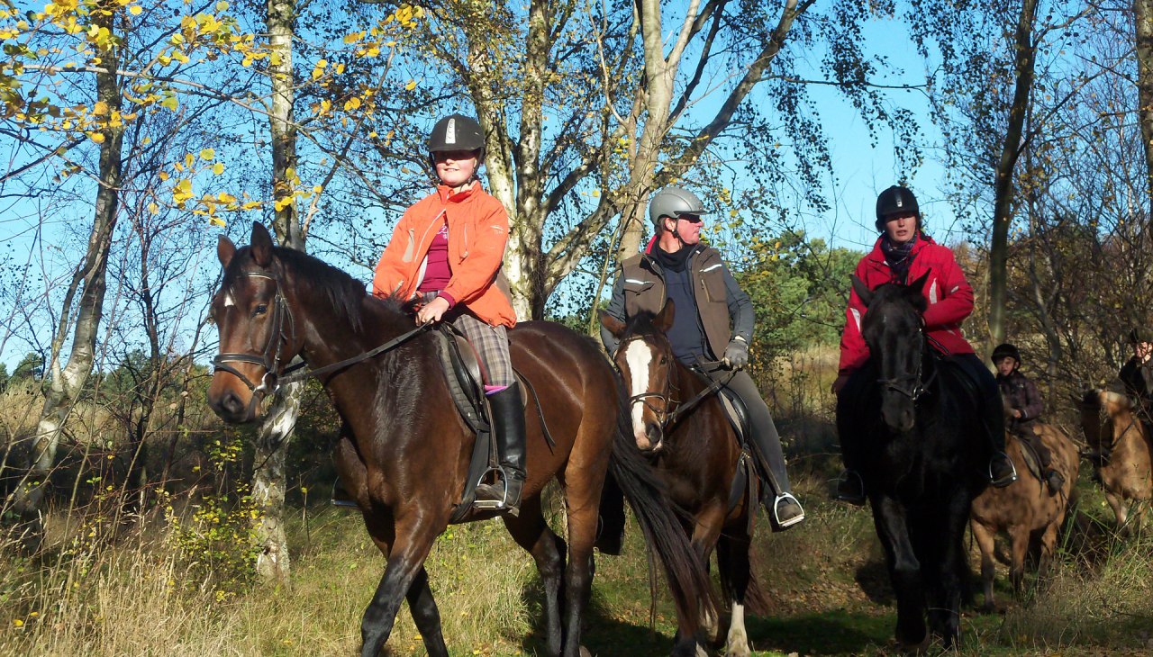Ruiters op Hiddensee, © Annett Striesow Ruiters op Hiddensee, © Annett Striesow