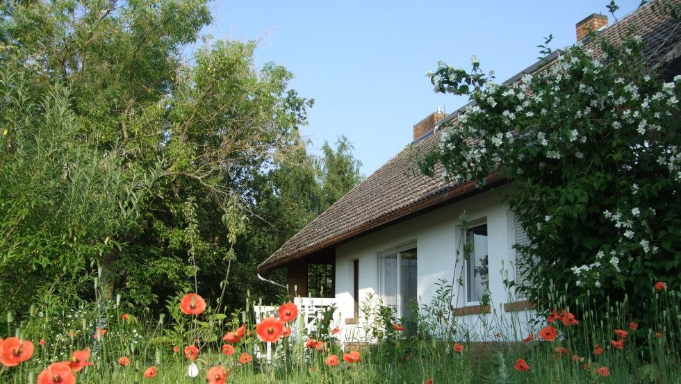 Akademia Ahlbeck zanurzona w świecących czerwonych makach, © Akademie Ahlbeck/Henrich