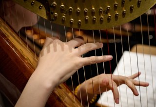 Op de foto is een detail te zien van een harp waarop wordt gespeeld. // © hmt Rostock Op de foto is een detail te zien van een harp waarop wordt gespeeld. // © hmt Rostock