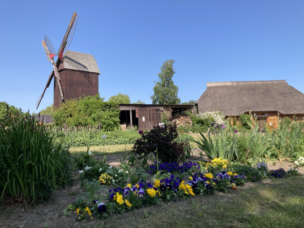 Colorful spring greetings from the Eldena windmill // © Martin Weidemeier Colorful spring greetings from the Eldena windmill // © Martin Weidemeier
