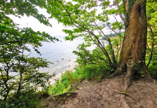 © Biosphärenreservat Südost-Rügen © Biosphärenreservat Südost-Rügen
