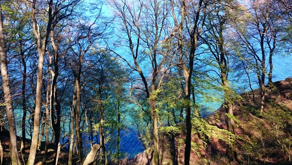 Krijtafzettingen laten het water azuurblauw tot smaragdgroen glinsteren, © TMV/Bodieschek