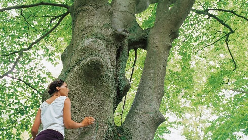 In contact met de natuur // © MV-T/Werk3 In contact met de natuur // © MV-T/Werk3