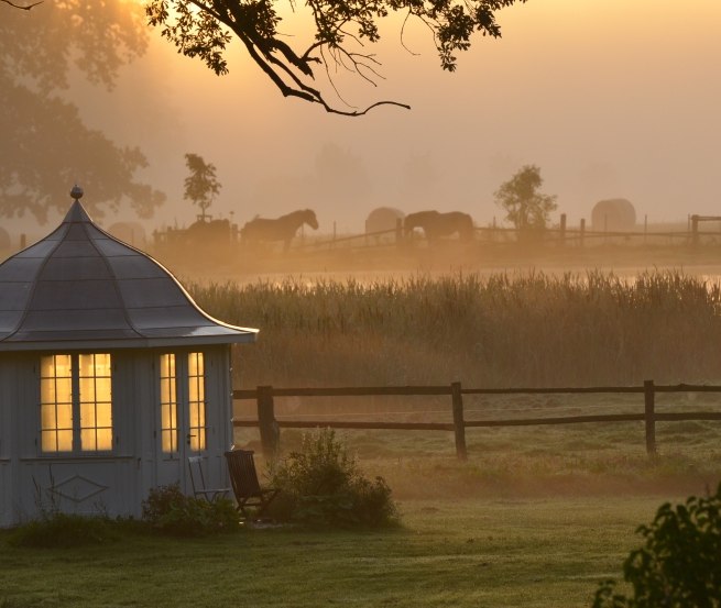 Impression der Morgenstimmung im Mecklenburger ParkLand // © Mecklenburger ParkLand/Feriengut Dalwitz Impression der Morgenstimmung im Mecklenburger ParkLand // © Mecklenburger ParkLand/Feriengut Dalwitz