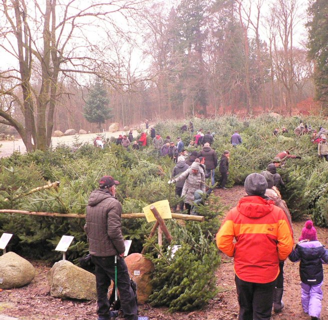 &copy; (c) Kurverwaltung &Uuml;ckeritz