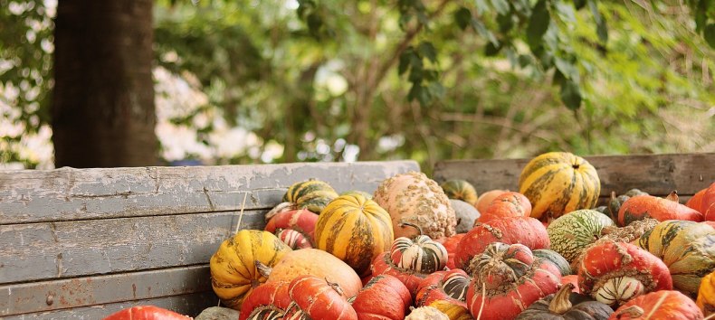 Fall market, © NoName_13 Fall market, © NoName_13