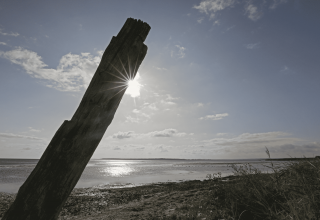 © TMV/Gohlke © TMV/Gohlke